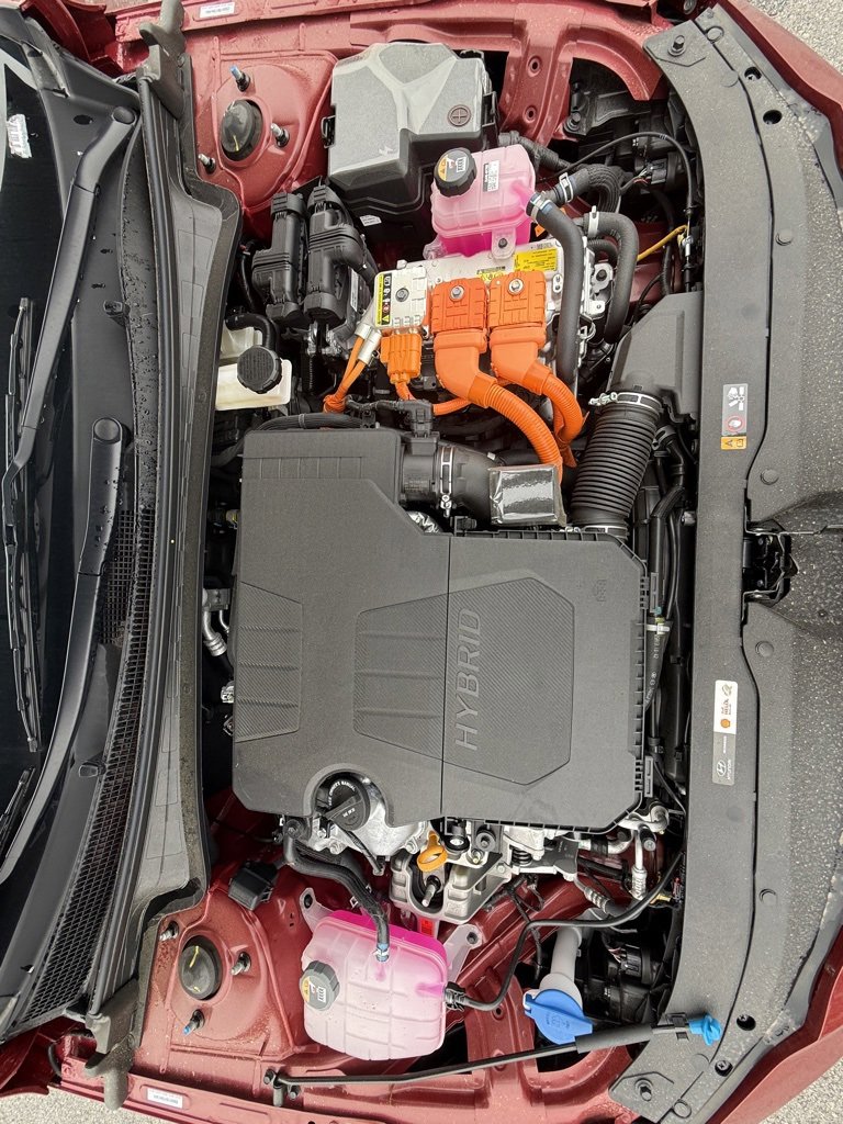 New 2025 Hyundai Elantra Limited image 44