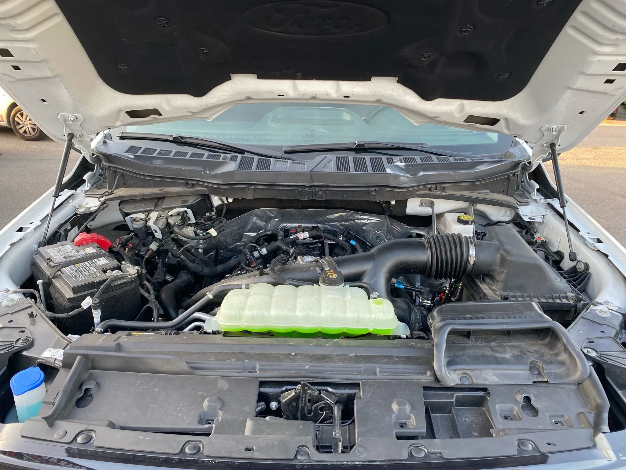 Used 2025 Ford F150 XLT w/ Equipment Group 301A Standard image 28