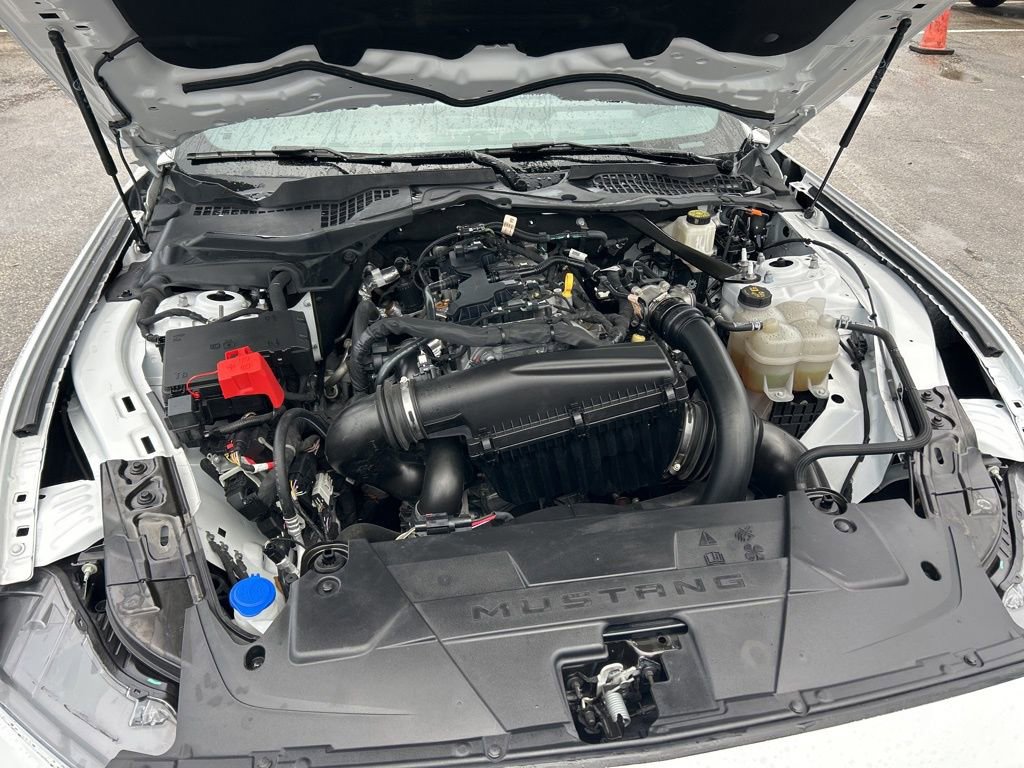 Used 2024 Ford Mustang Premium image 16