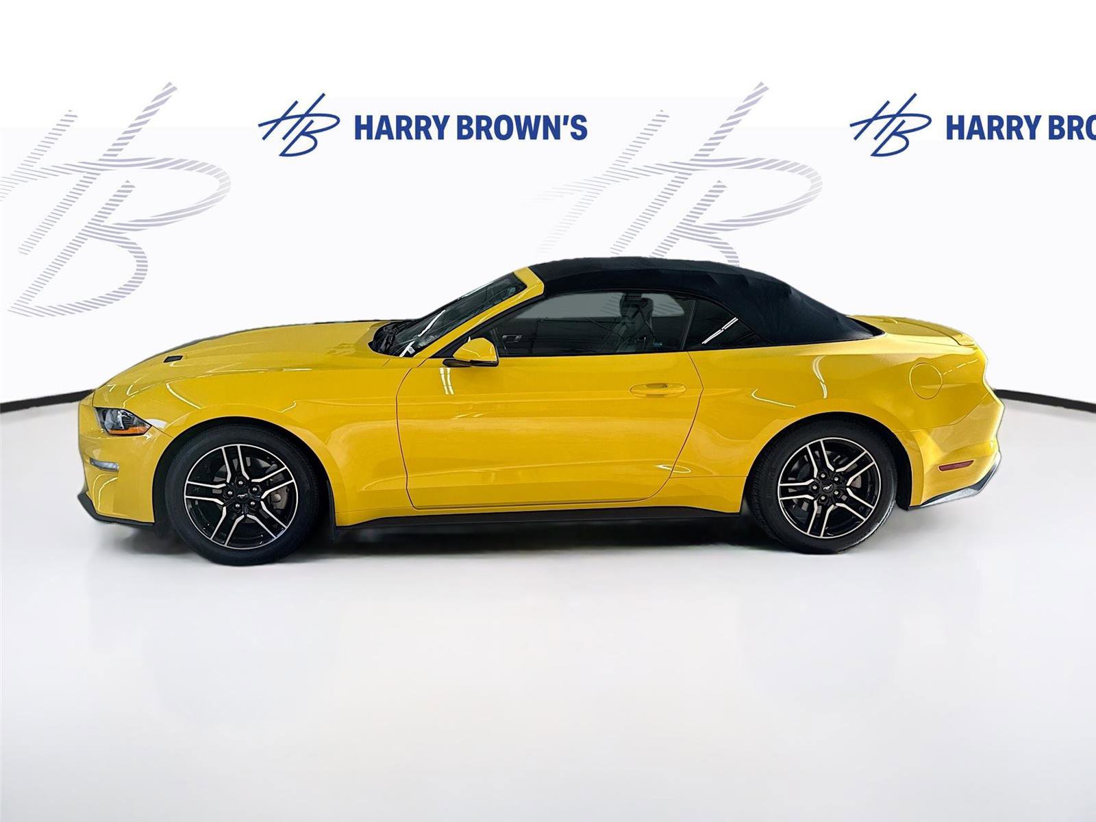 Used 2018 Ford Mustang Premium w/ Equipment Group 201A RWD image 8