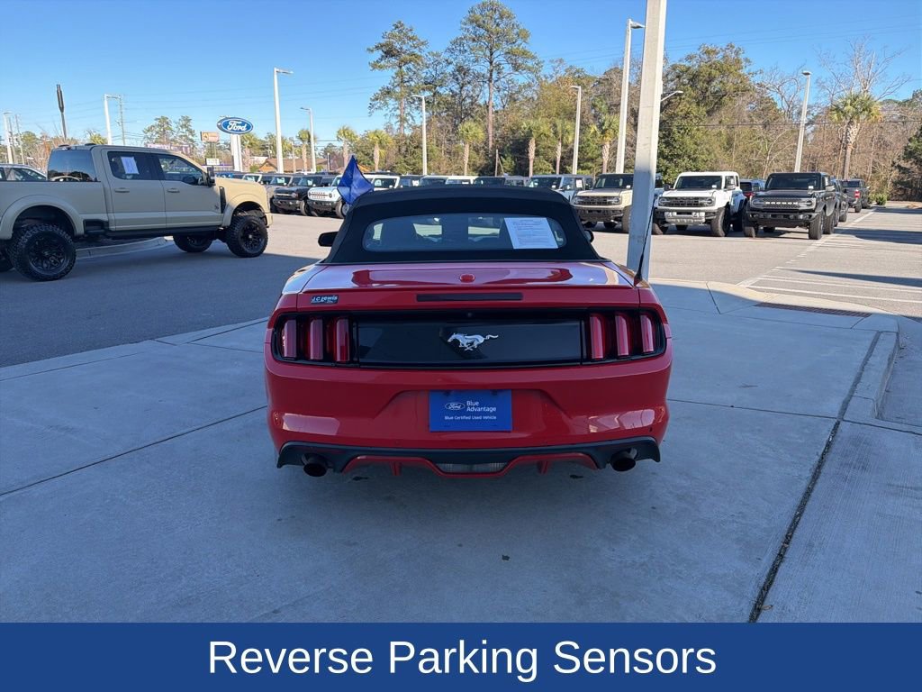 Used 2017 Ford Mustang Premium w/ Equipment Group 201A image 6