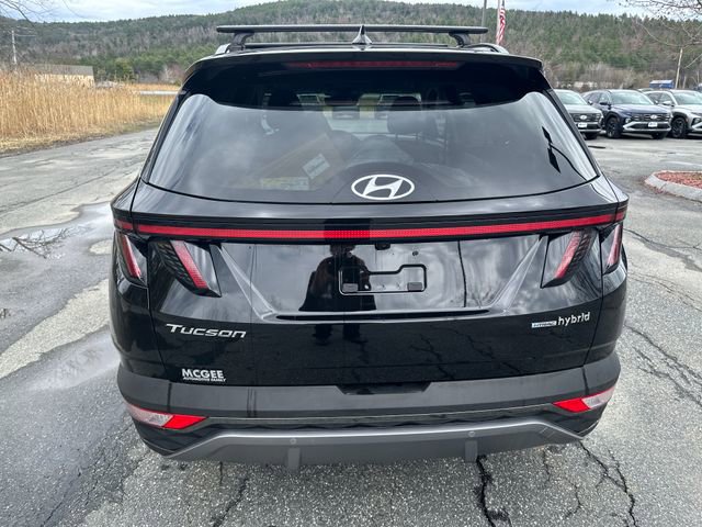 Certified 2024 Hyundai Tucson Limited image 4