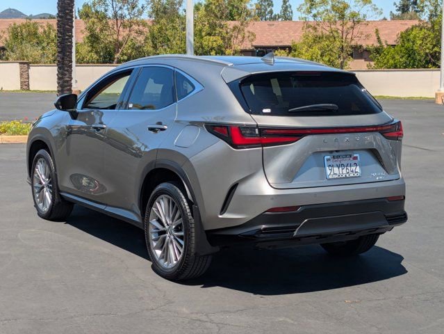 Used 2025 Lexus NX 350h AWD w/ Cold Area Package image 7