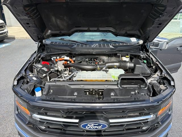 Certified 2024 Ford F150 XLT w/ Equipment Group 302A MID image 26