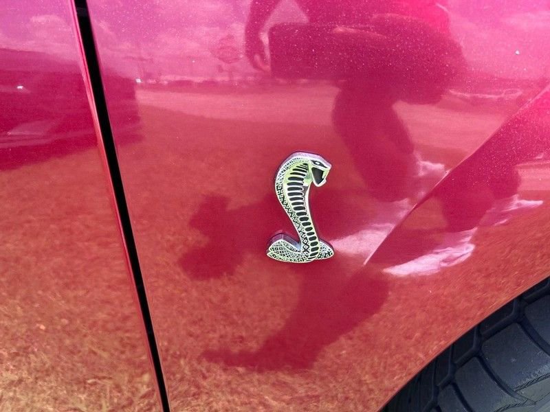 Used 2004 Ford Mustang Cobra image 4