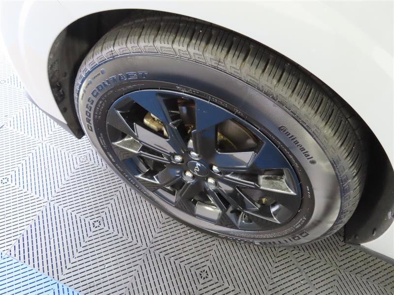 Used 2022 Kia Carnival SX image 6