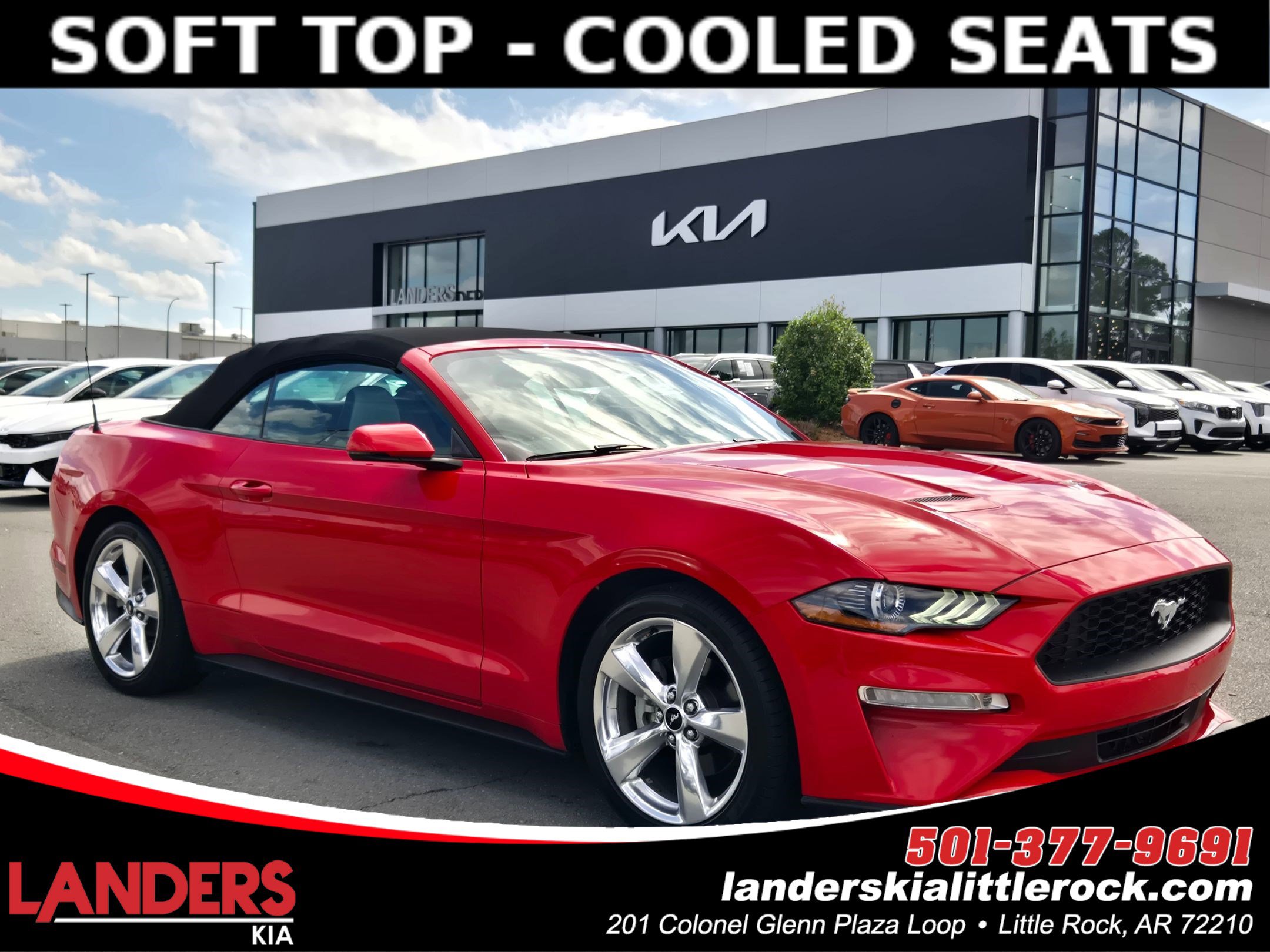 Used 2019 Ford Mustang Premium image 1