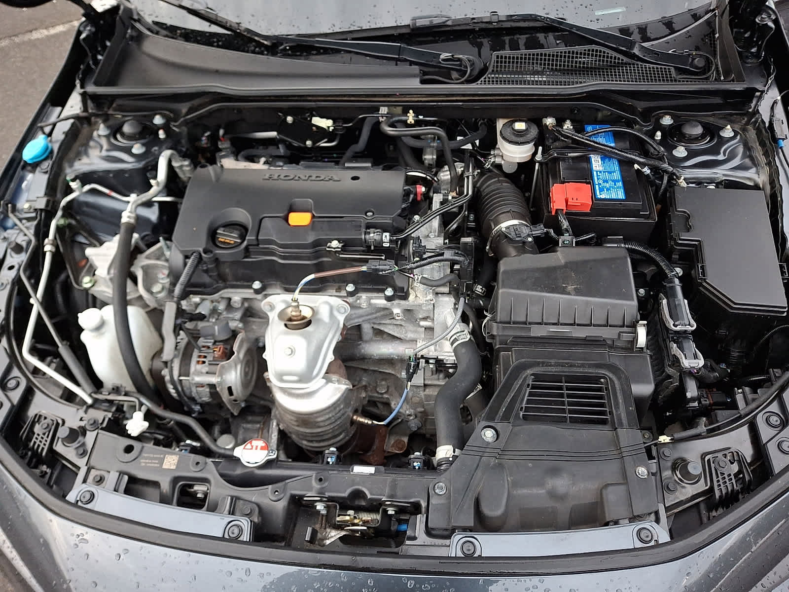 Certified 2024 Honda Civic Sport image 28