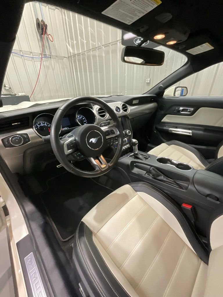 Used 2015 Ford Mustang 50 Years image 9