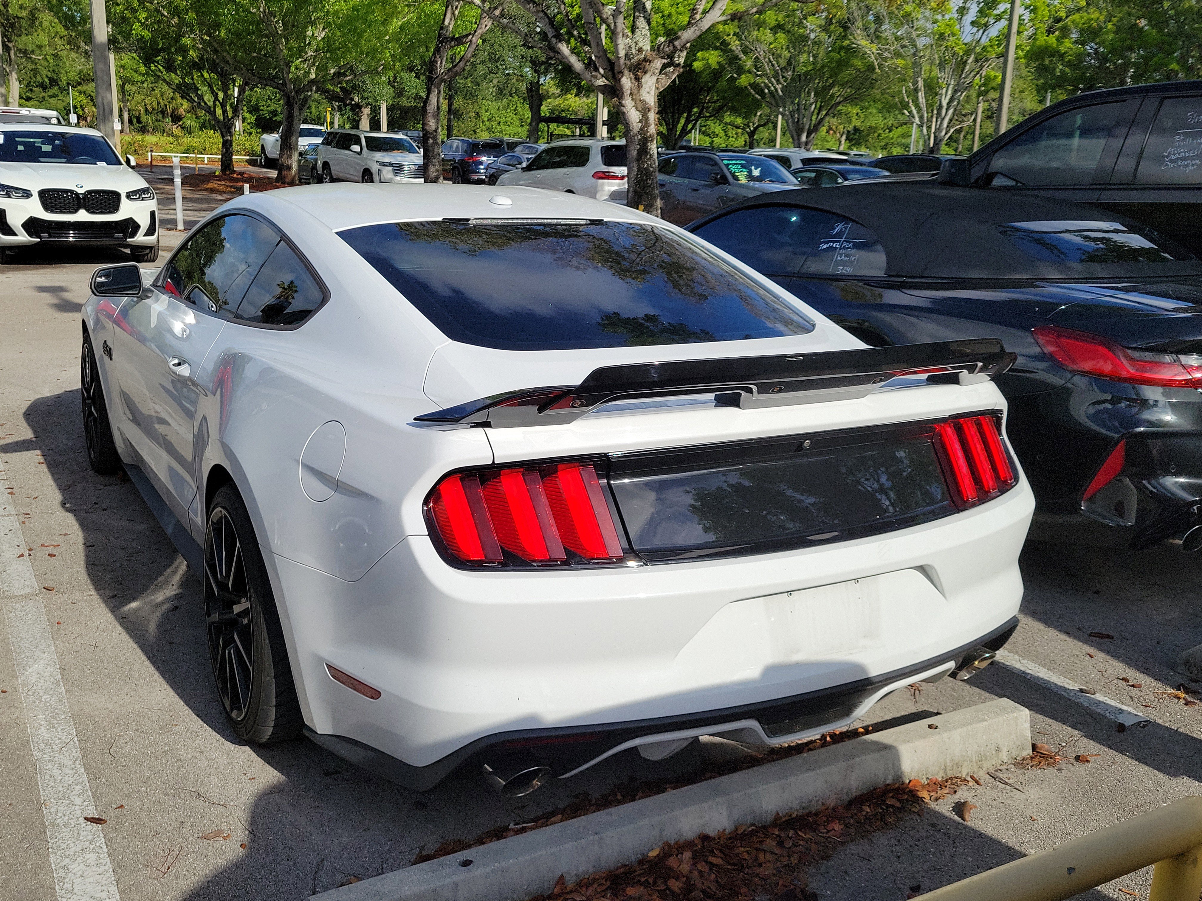 Used 2017 Ford Mustang GT Premium RWD image 4