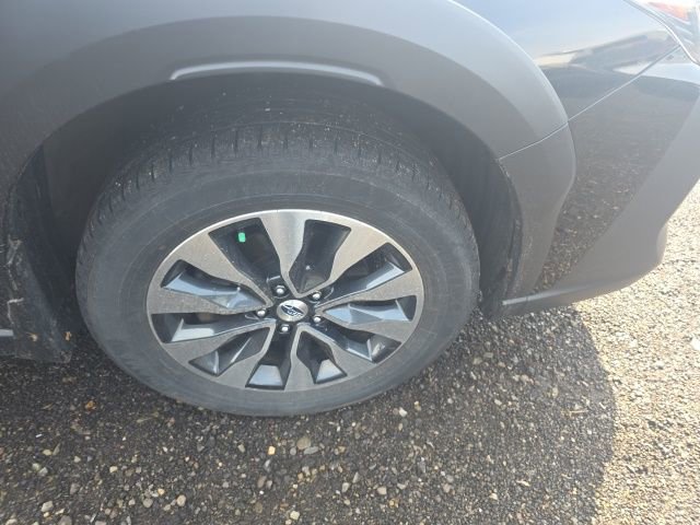 Used 2023 Subaru Outback Limited image 4