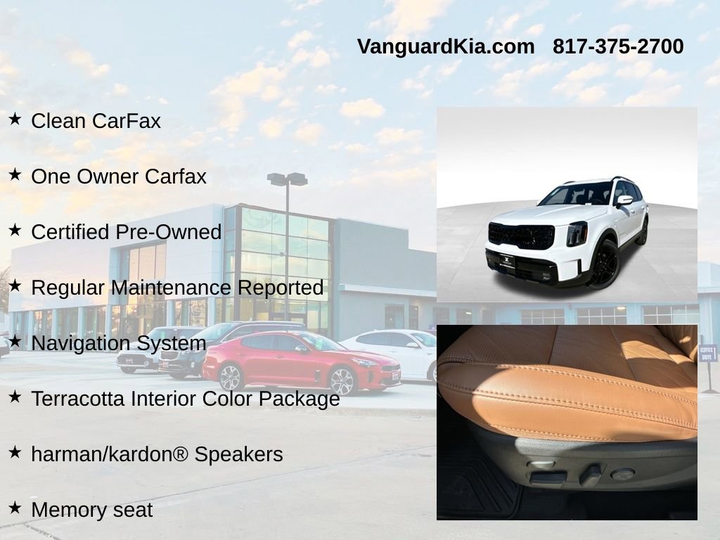 Used 2025 Kia Telluride SX Prestige X-Line image 6