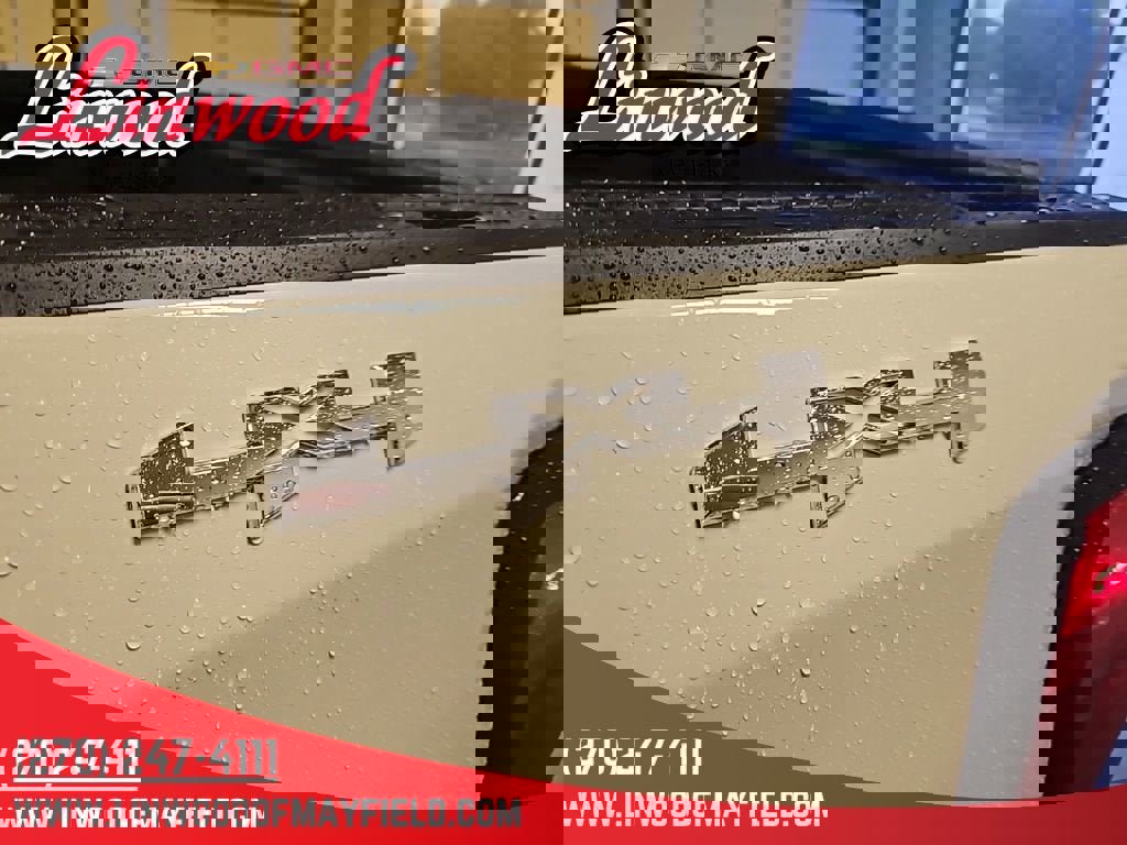 New 2026 GMC Sierra 1500 Pro w/ Graphite Edition image 11