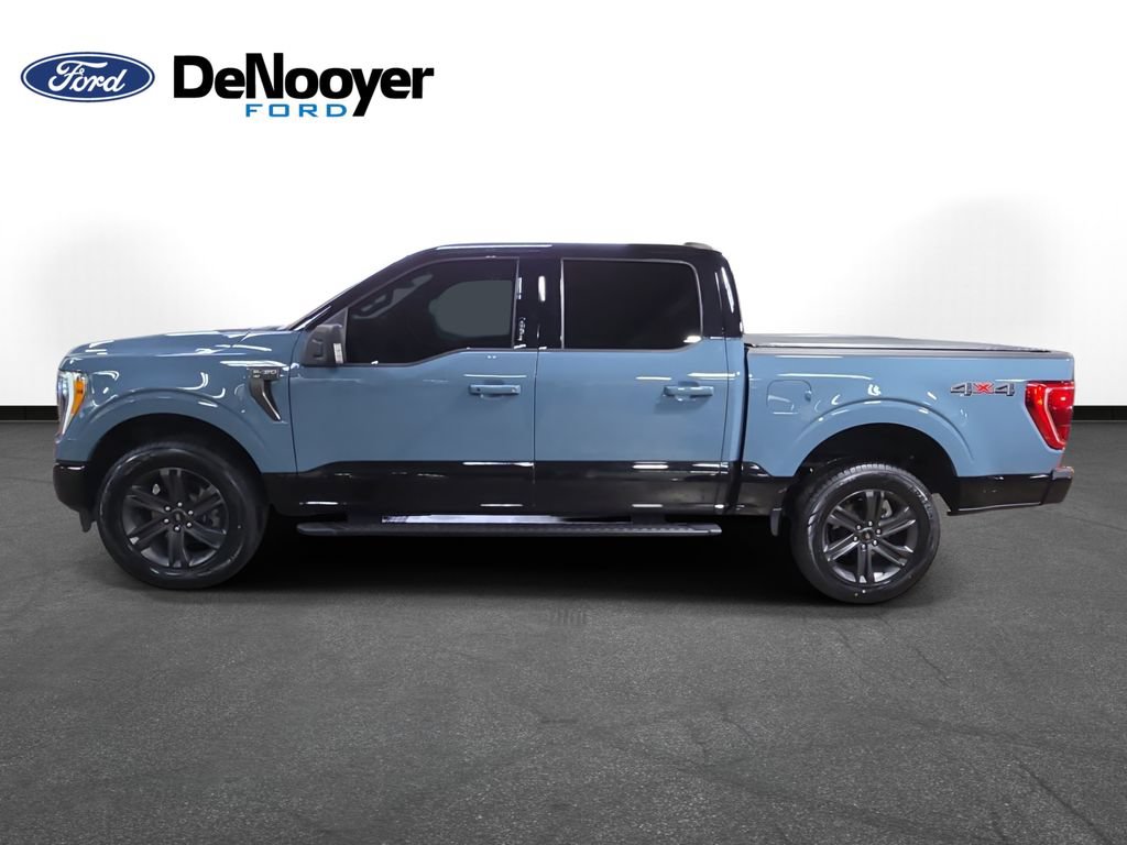 Used 2023 Ford F150 XLT w/ Equipment Group 302A High AWD/4WD image 9