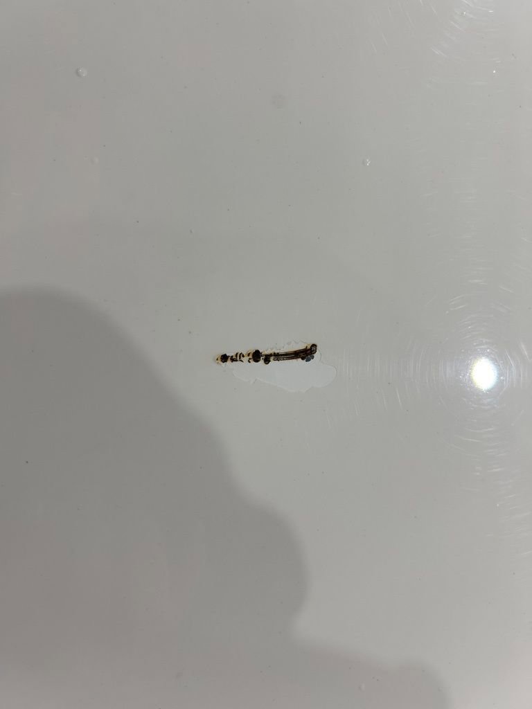 Used 2010 Toyota Corolla Base image 28