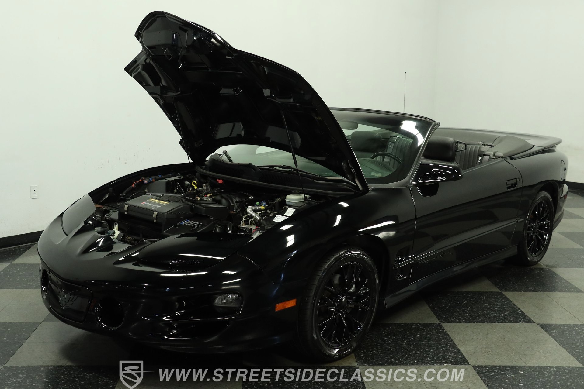 Used 2002 Pontiac Firebird Trans Am RWD image 30