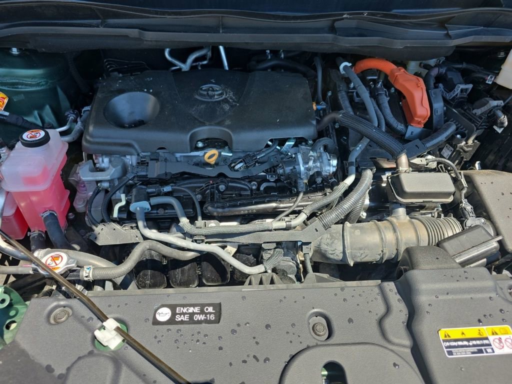 Used 2025 Toyota Sienna XLE Woodland Edition image 39