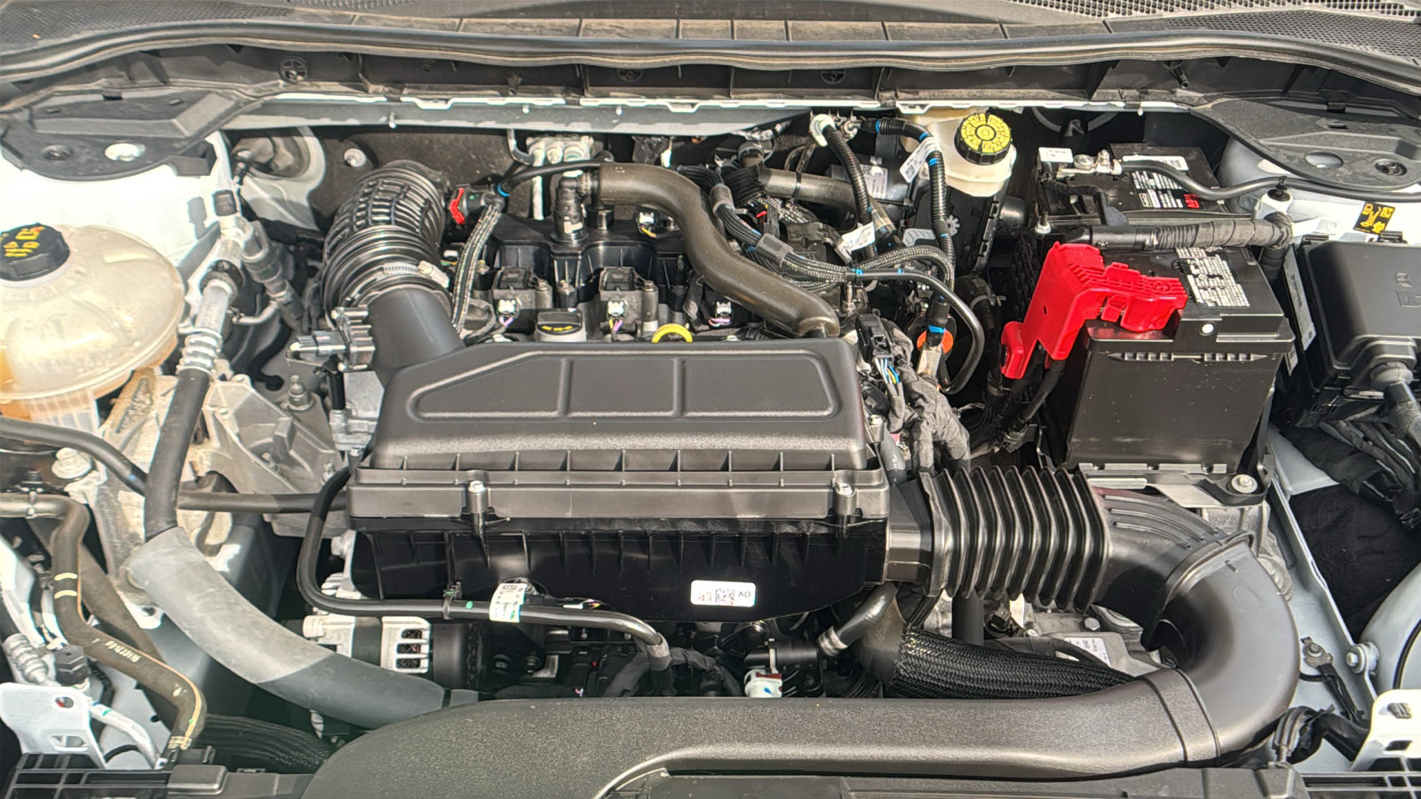 Used 2024 Ford Escape Active w/ Tech Pack #1 image 11