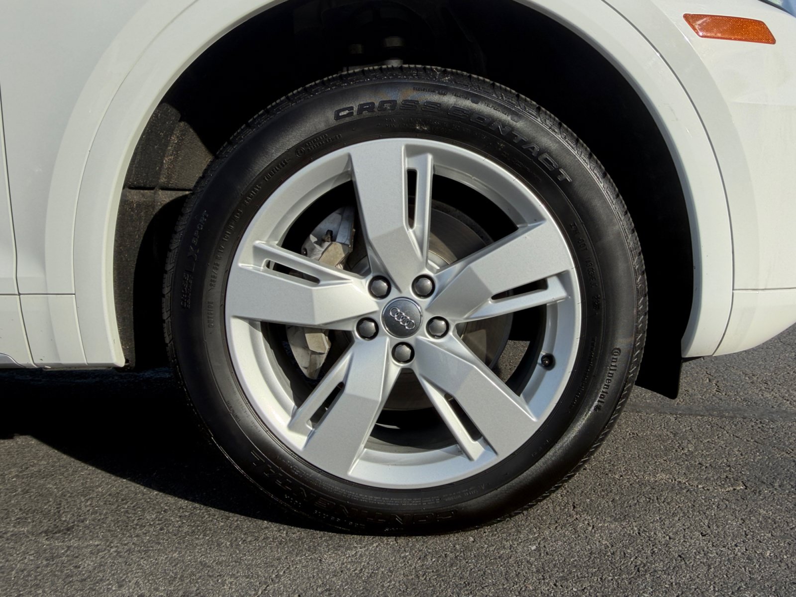 Used 2019 Audi Q5 2.0T Premium Plus AWD/4WD image 8
