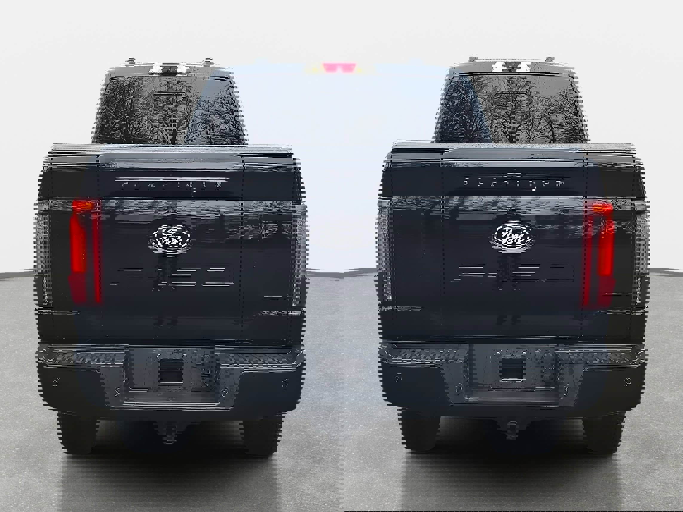 Used 2025 Ford F150 Platinum w/ FX4 Off-Road Package image 6