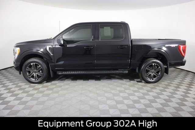Certified 2022 Ford F150 XLT w/ Equipment Group 302A High image 8