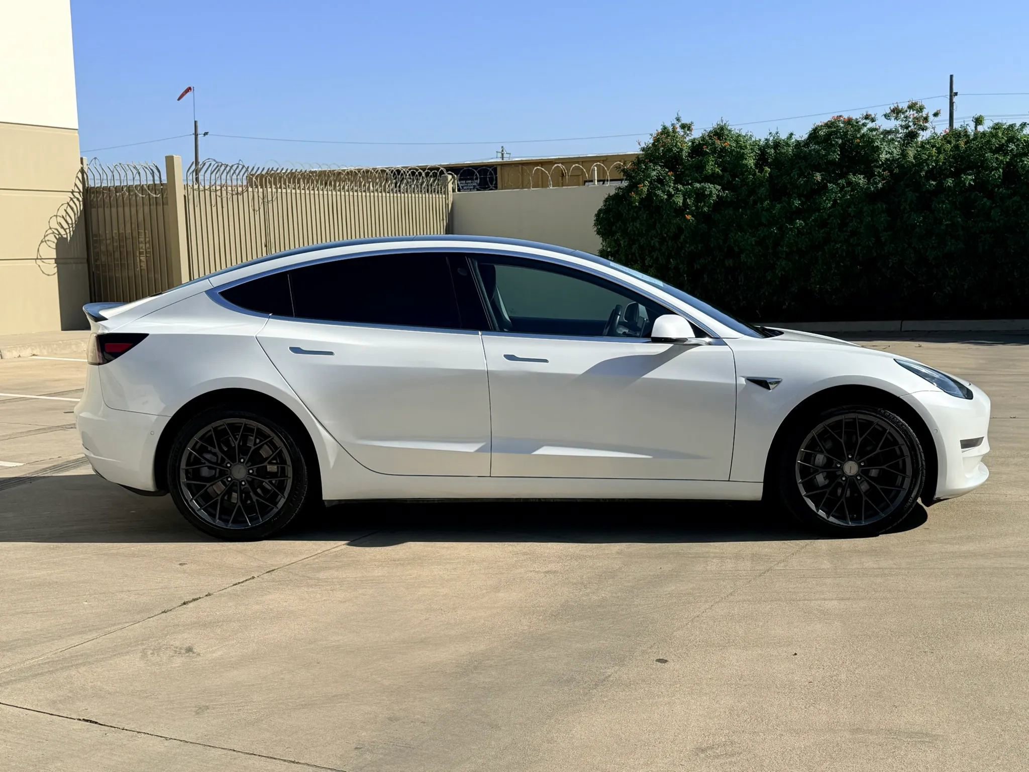 Used 2019 Tesla Model 3 Standard Range Plus image 4