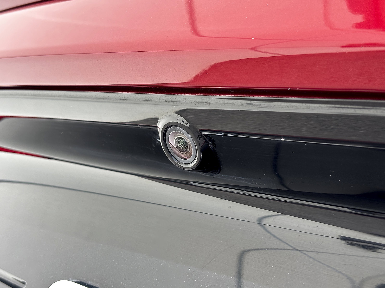 Used 2019 Ford Mustang GT RWD image 5