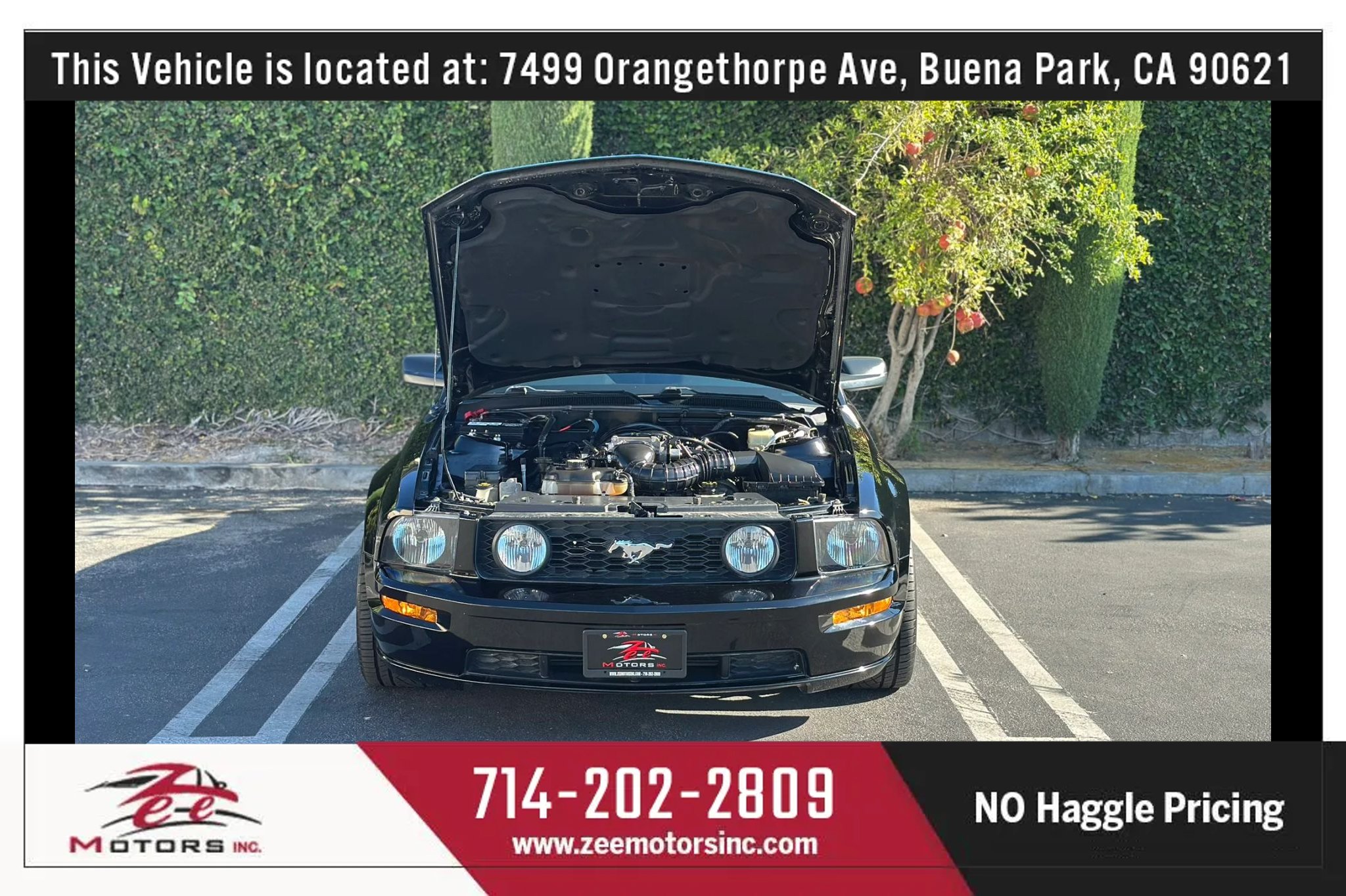 Used 2006 Ford Mustang GT RWD image 15