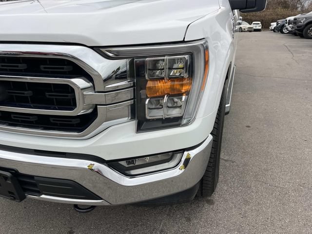 Used 2022 Ford F150 XLT w/ Equipment Group 302A High AWD/4WD image 11