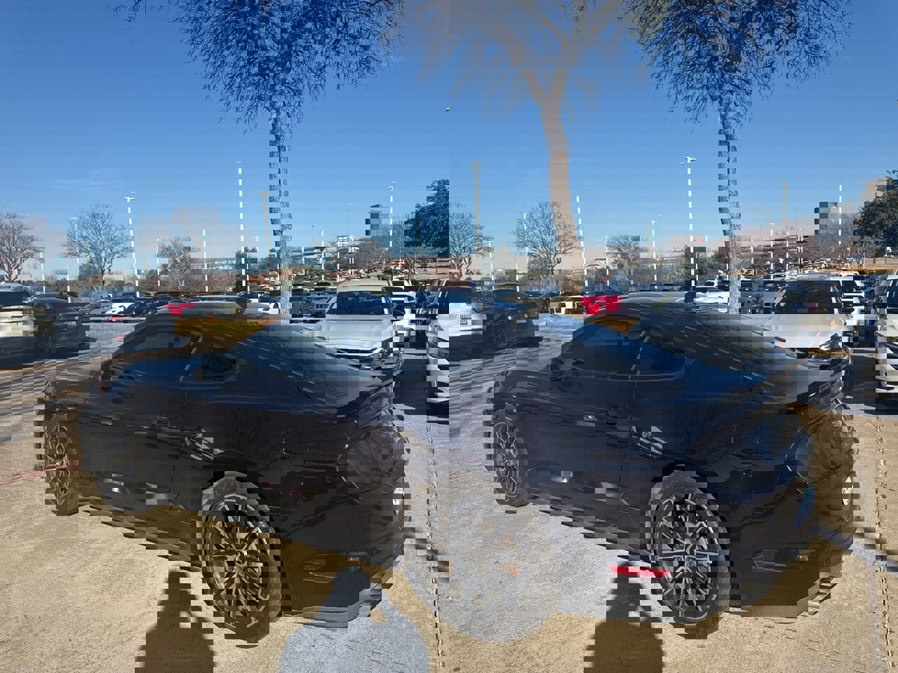 Used 2022 Ford Mustang Coupe w/ Equipment Group 101A image 3