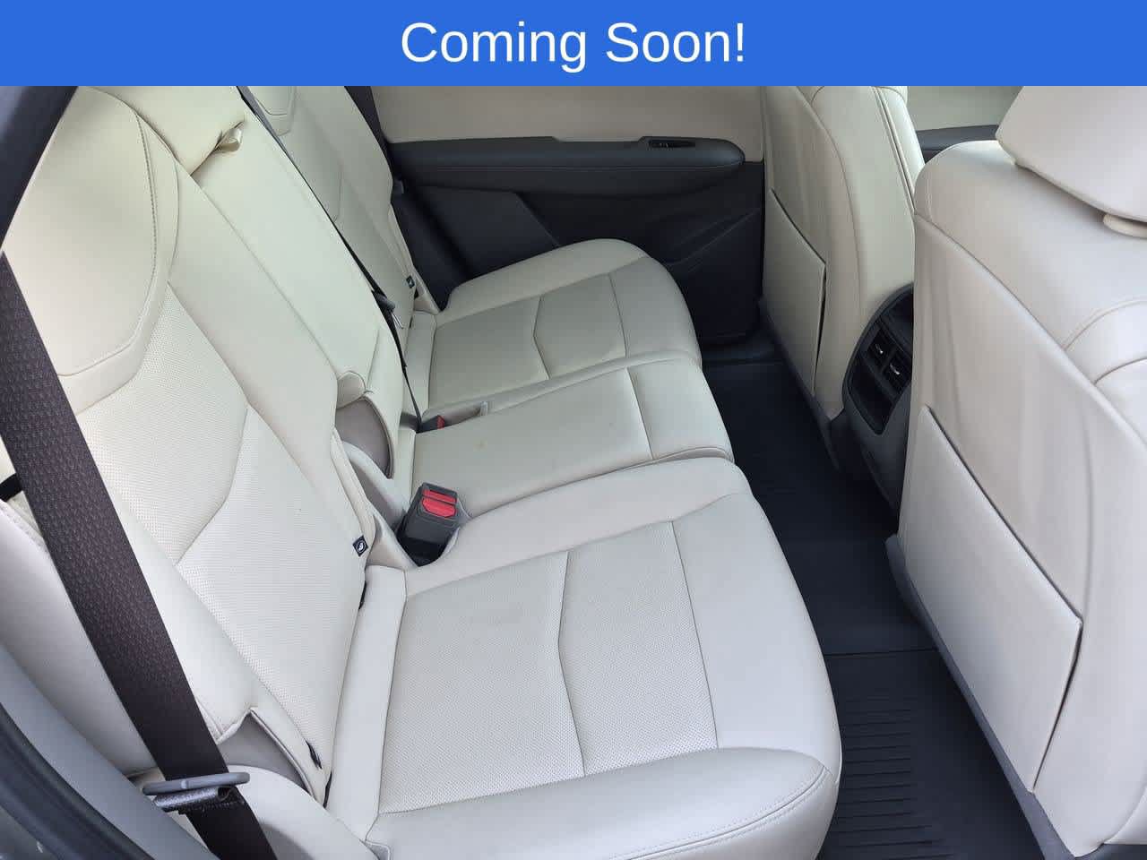 Used 2024 Cadillac XT5 Premium Luxury w/ LPO, Floor Liner Package AWD/4WD image 21