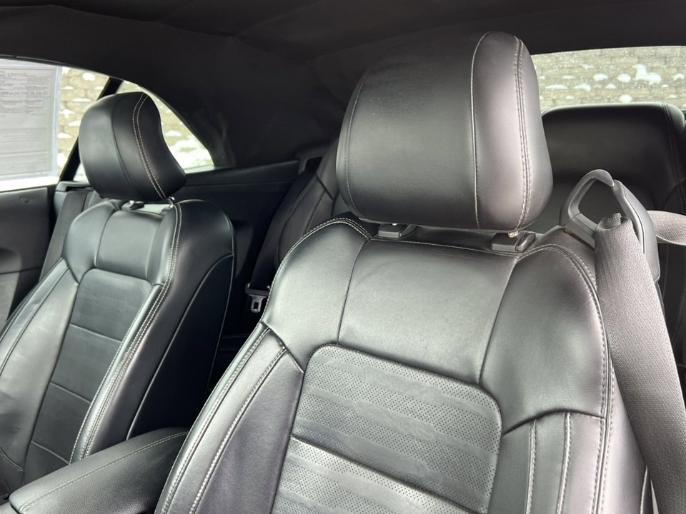 Used 2015 Ford Mustang GT Premium w/ Equipment Group 401A image 12