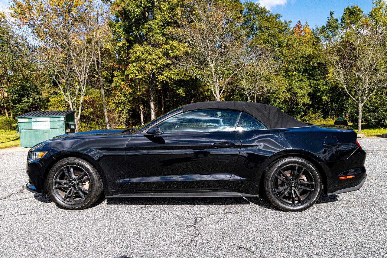 Used 2017 Ford Mustang Premium RWD image 3
