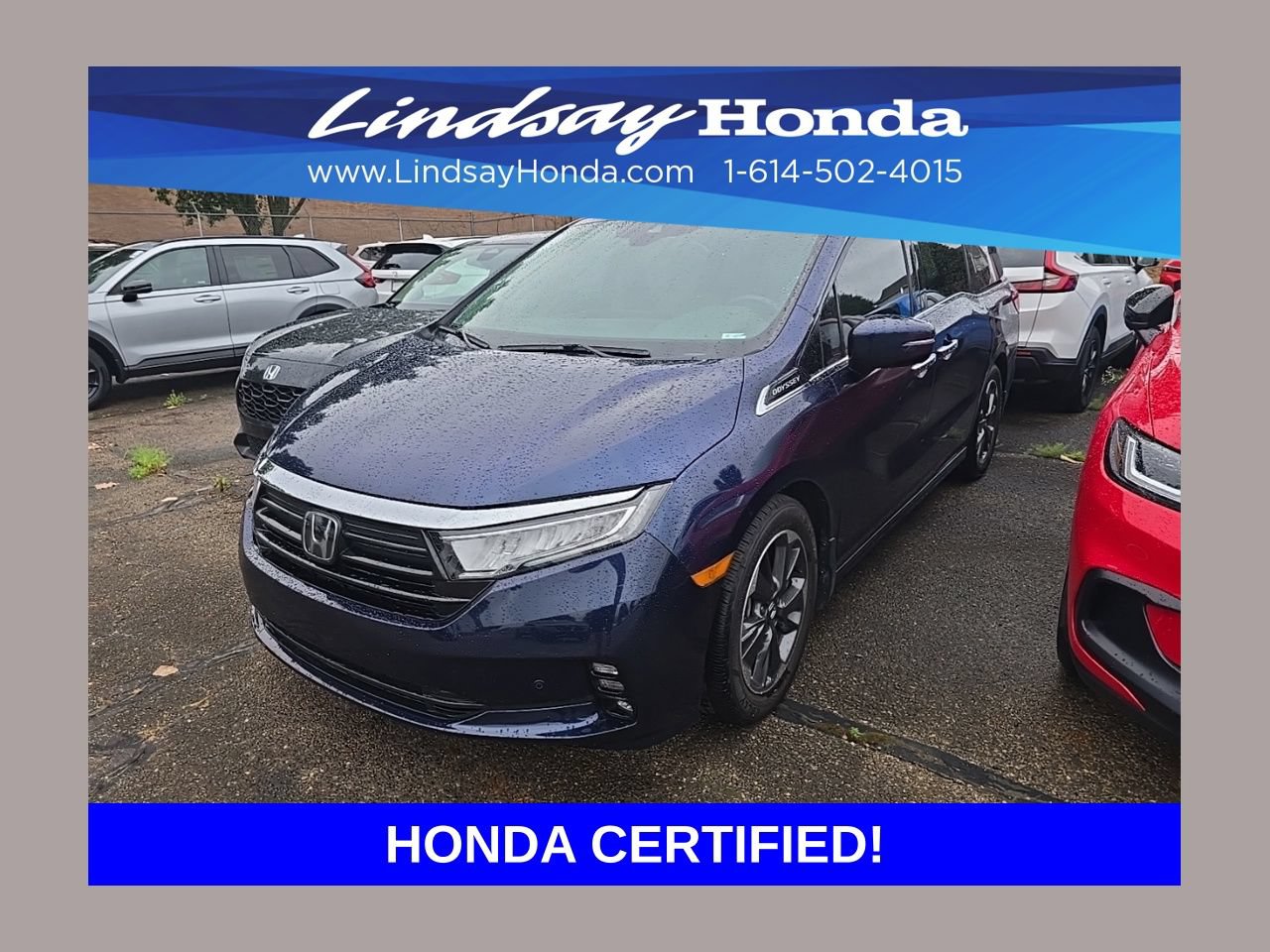 Used 2023 Honda Odyssey Elite image 1