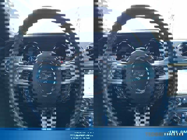 Used 2017 Ford Mustang GT Premium w/ Equipment Group 401A image 24