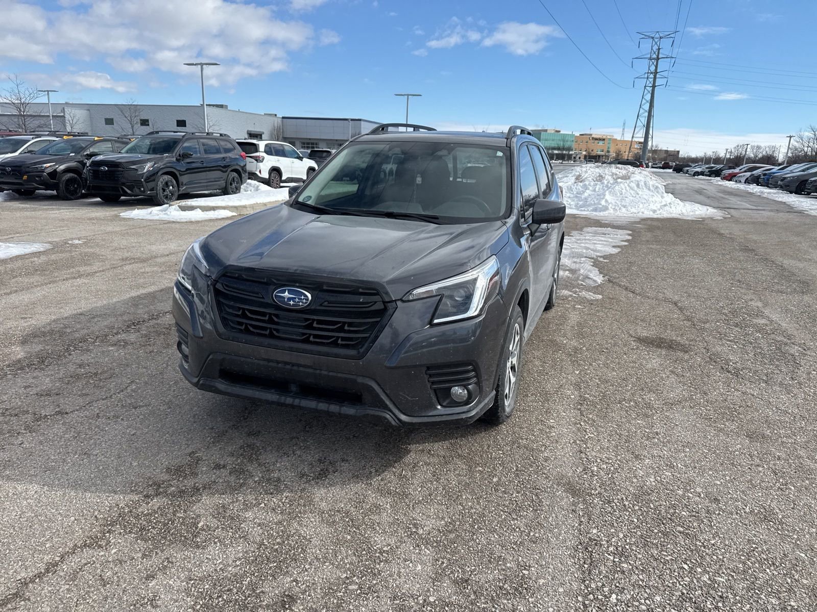 Certified 2023 Subaru Forester Premium image 14