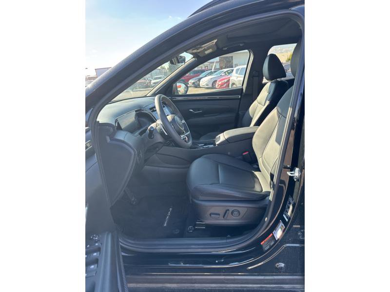 New 2024 Hyundai Santa Cruz Night image 26