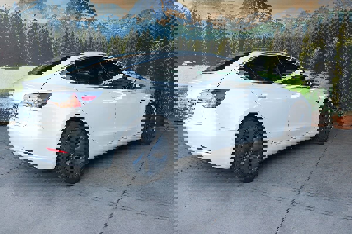 Used 2020 Tesla Model 3 Standard Range Plus image 6