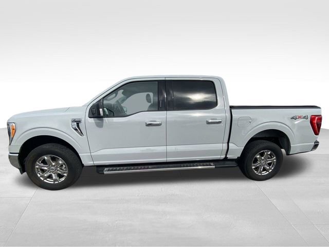 Used 2023 Ford F150 XLT w/ Equipment Group 302A High AWD/4WD image 3