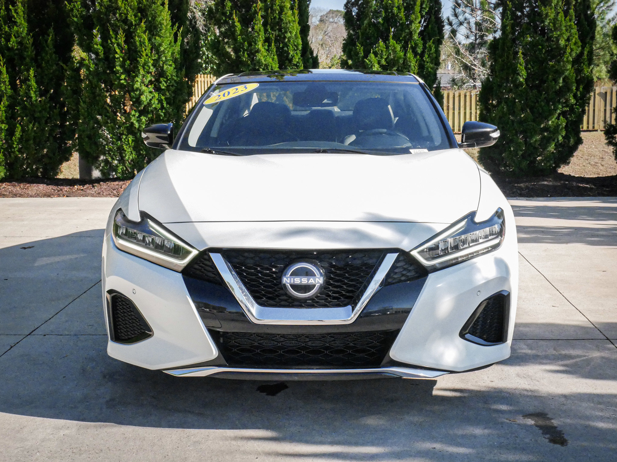 Used 2023 Nissan Maxima SL FWD image 3