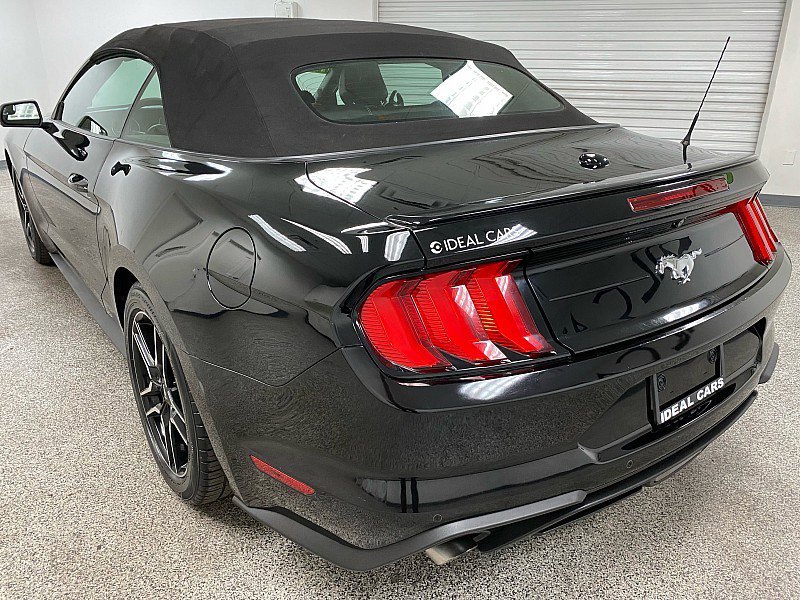 Used 2019 Ford Mustang Premium image 7