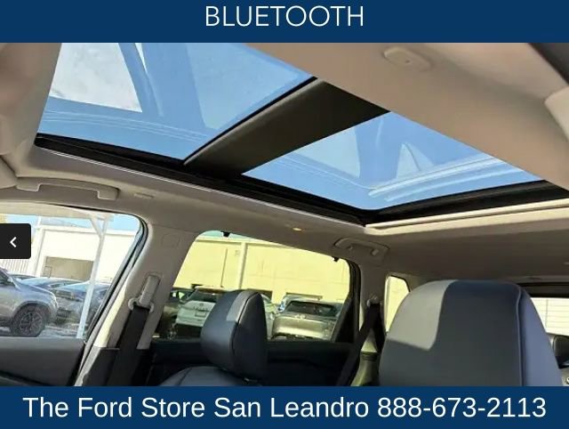 Used 2021 Nissan Rogue SL w/ Premium Package image 6