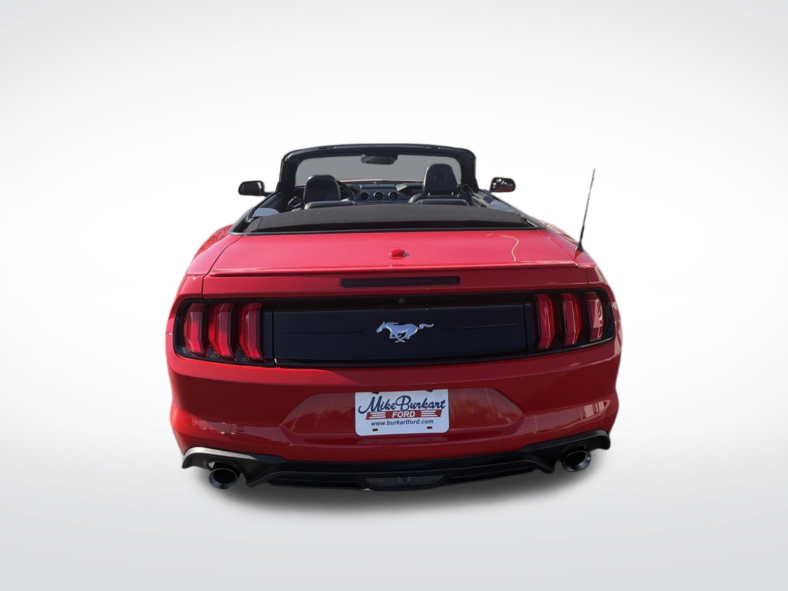 Used 2019 Ford Mustang Premium w/ Equipment Group 201A RWD image 22