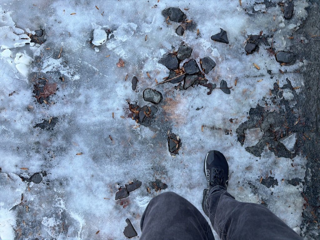 Used 2021 Volkswagen Tiguan SEL image 3