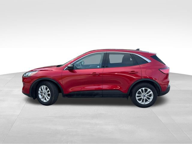 Used 2022 Ford Escape SE FWD image 3