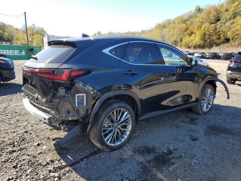 Used 2025 Lexus NX 350h AWD w/ Premium Package image 5