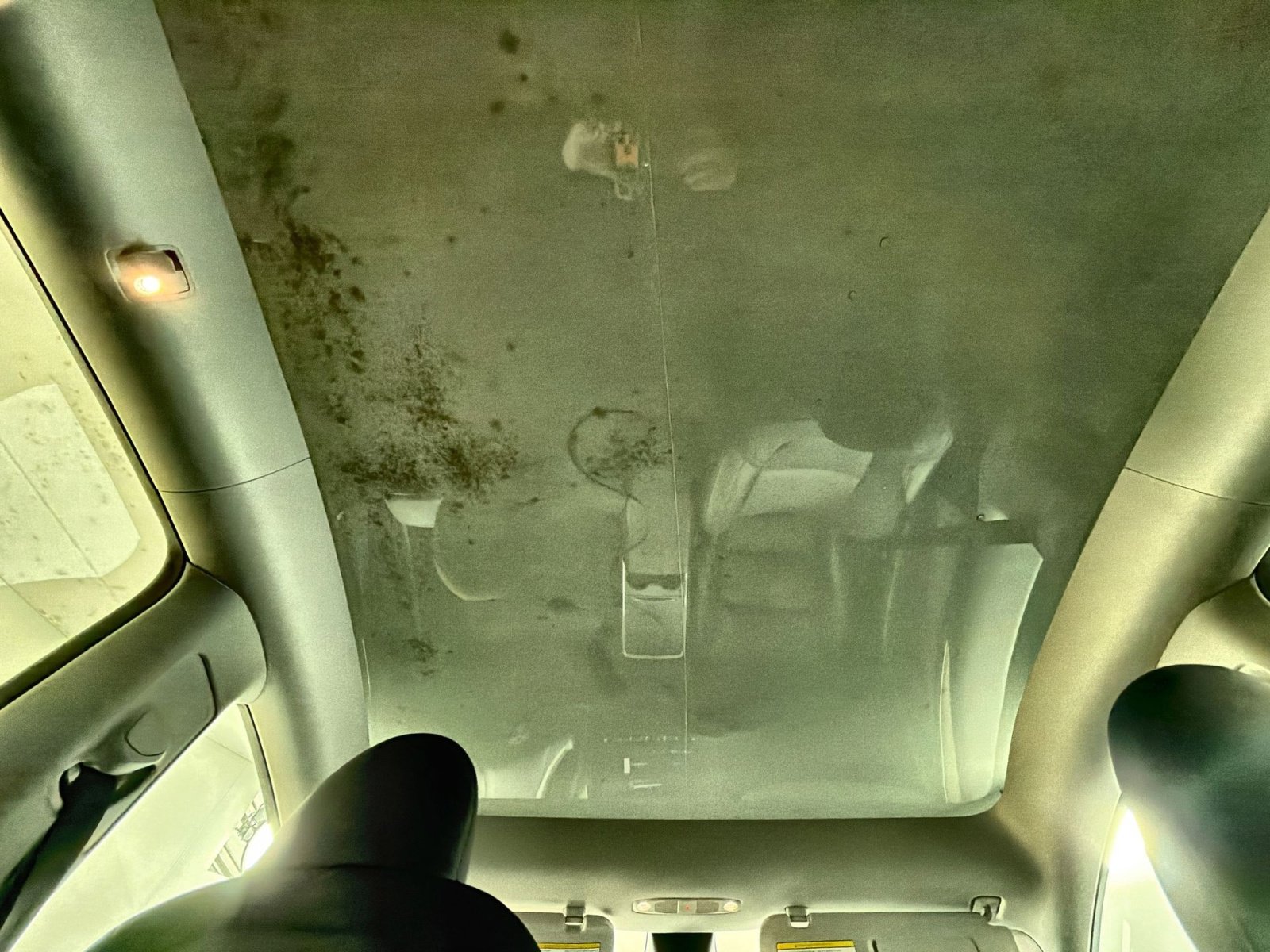 Used 2023 Tesla Model Y Performance image 24