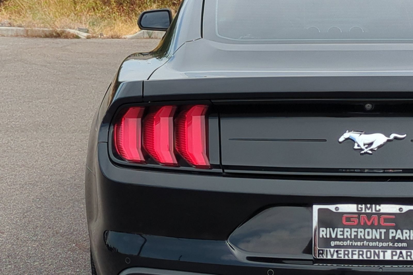 Used 2019 Ford Mustang Premium w/ Equipment Group 201A RWD image 48
