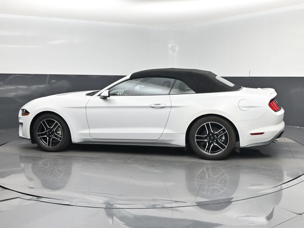 Used 2023 Ford Mustang Premium RWD image 10