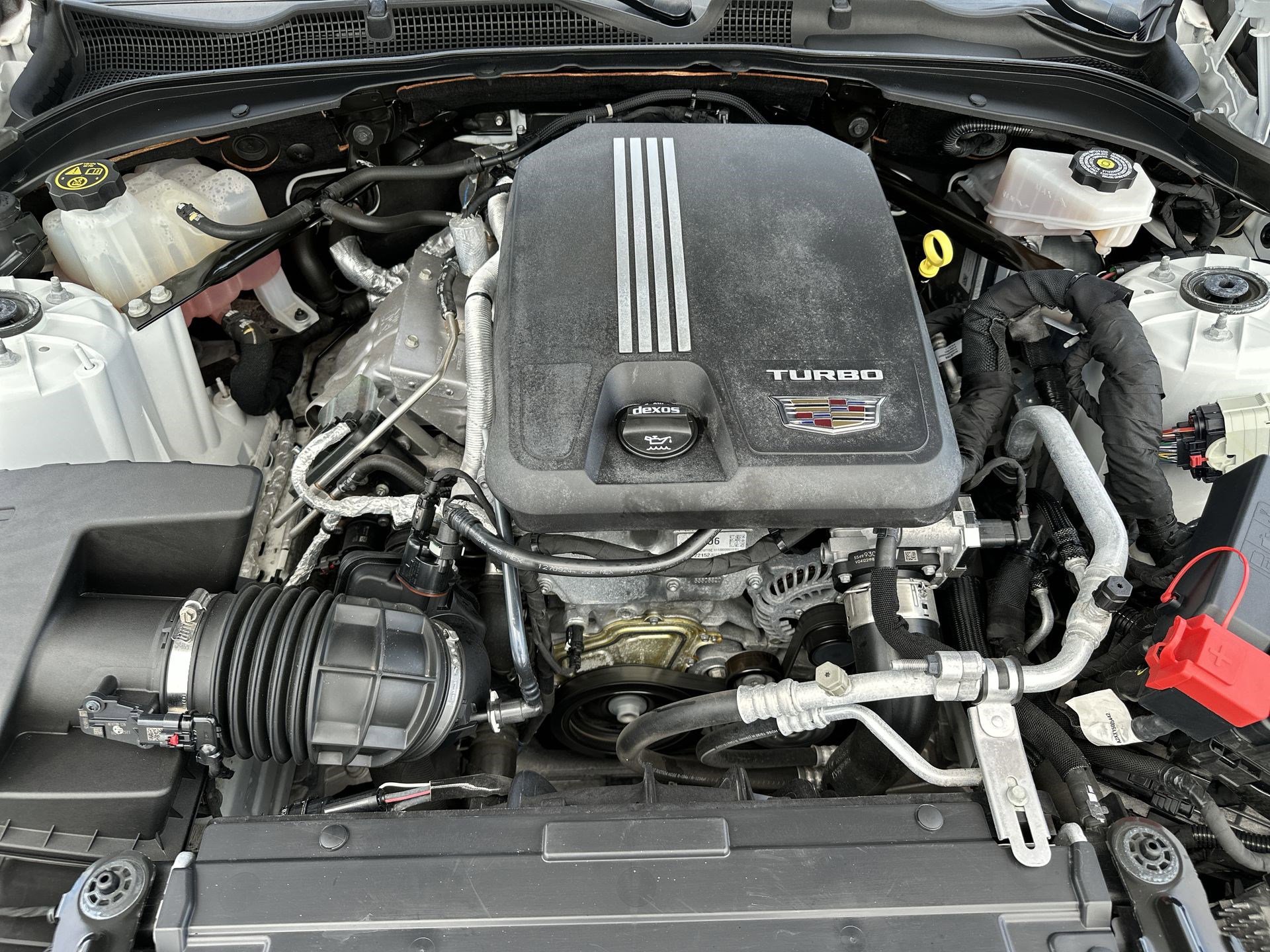 Used 2023 Cadillac CT4 Luxury RWD image 16